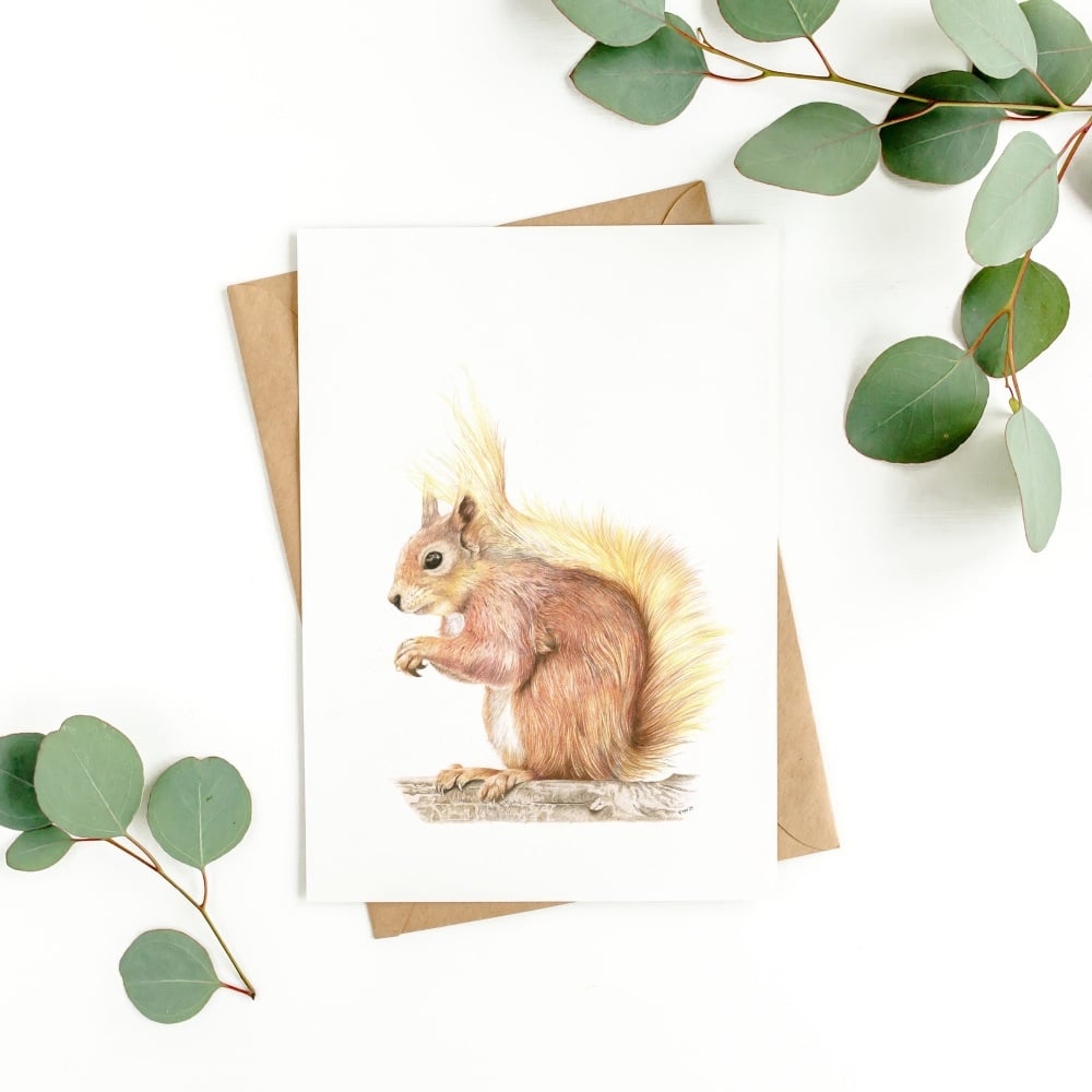 'Red Squirrel' - Greetings Card