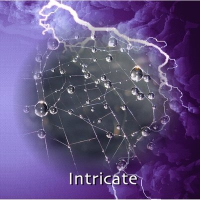 Intricate CD