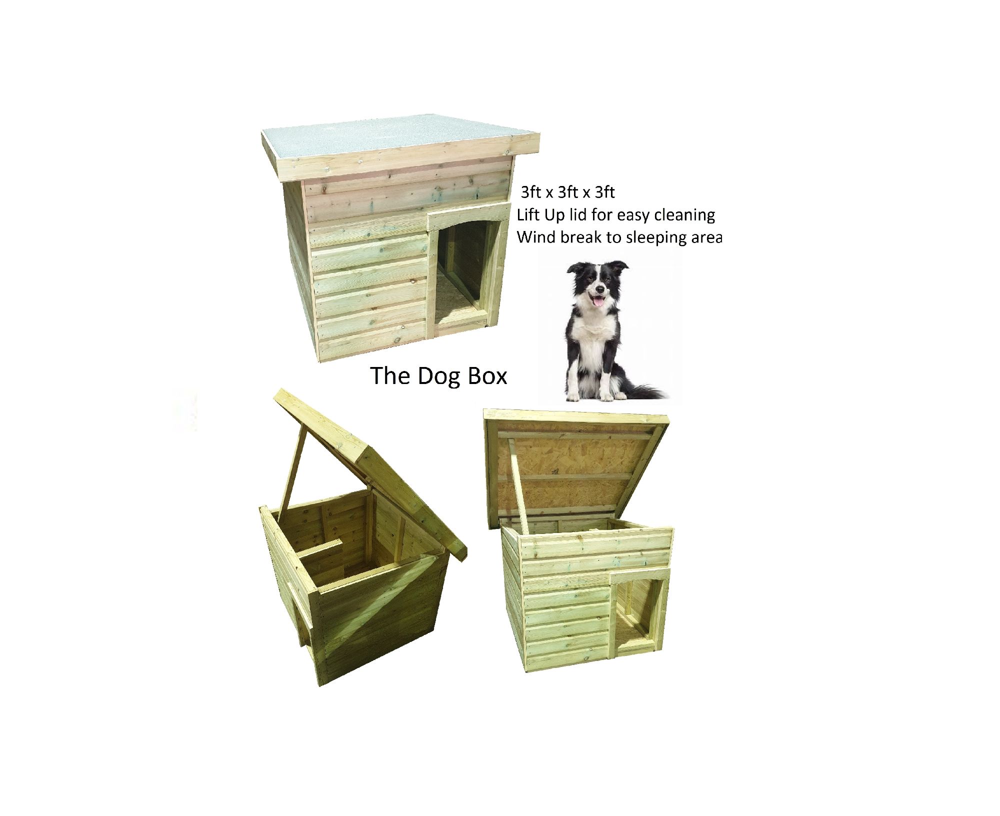 dog box small 1