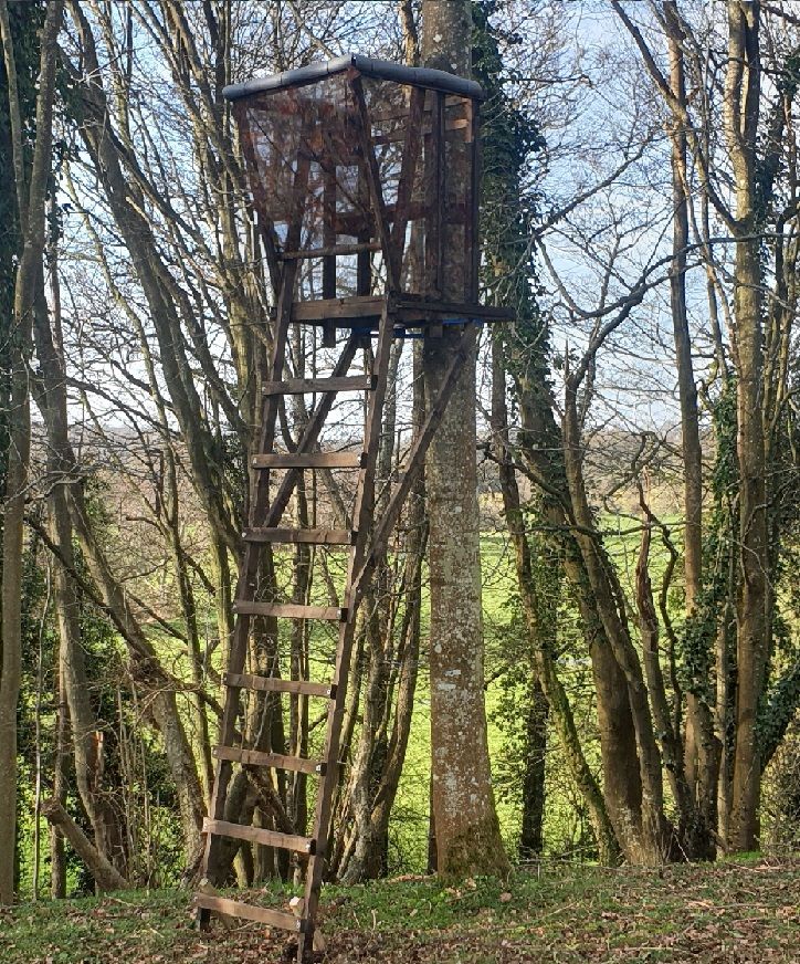 High seat blind deer stalking hunting shooting