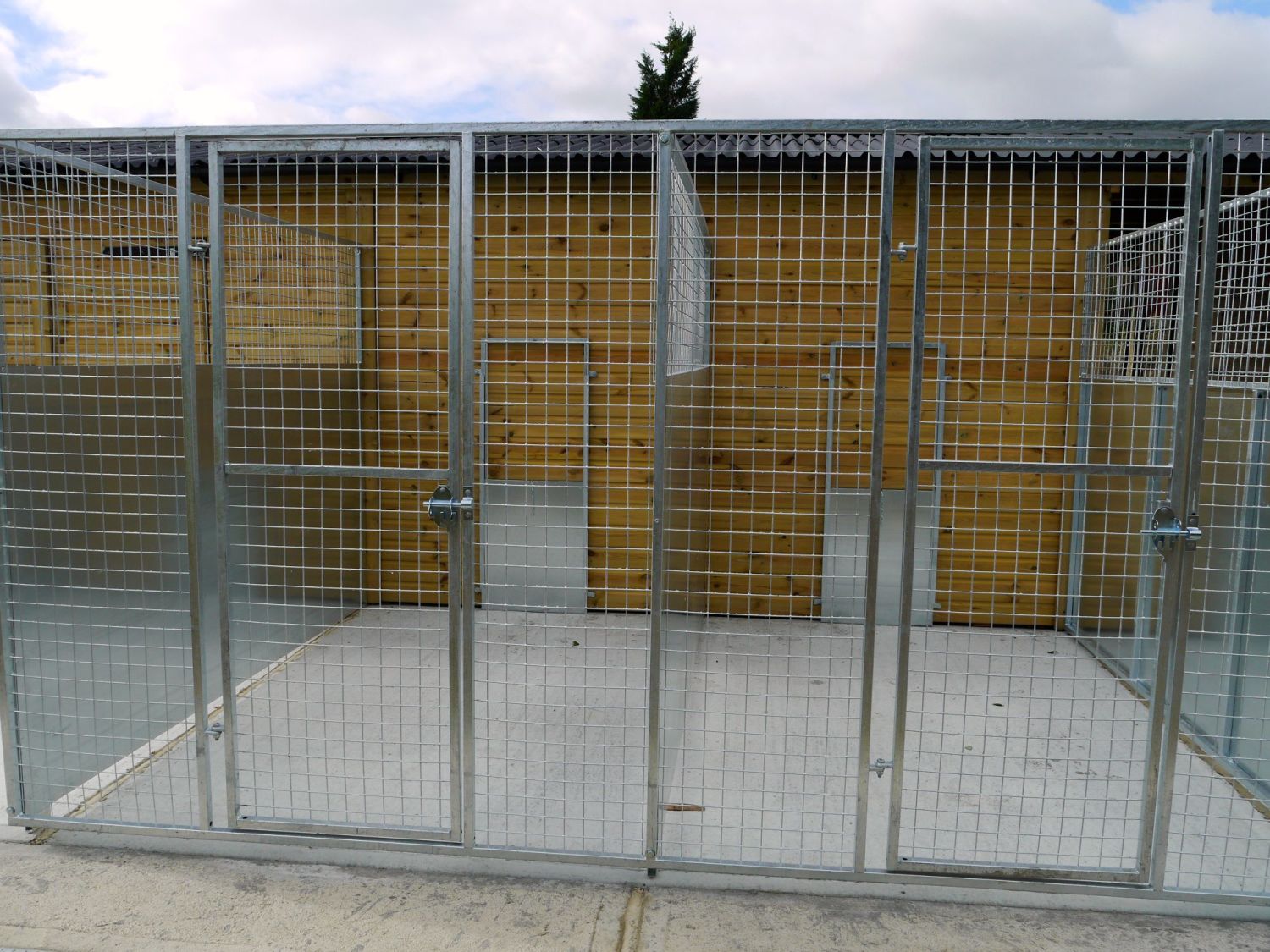 Dog kennel in Kent ME10 Sittingbourne ME9 Milton Kemsley Iwade Bapchild