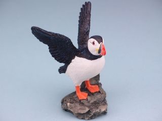 11671 Puffin with open wings