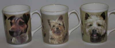 FC004 A  /Jack Russell  B/ Yorkie  C/ Cairn 