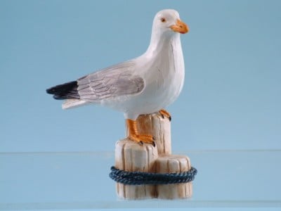 11616 Seagull on post