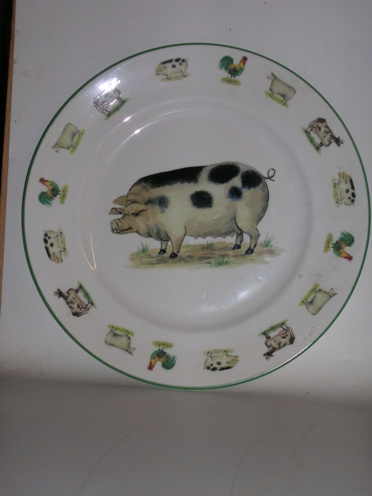 Aa2022/B 10" dinner plate- pig