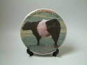FC020 6" round tea-pot stand -Belted Galloway Cows