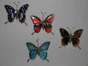 EL498 magnet - Butterflies
