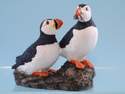 11672 puffin pair on rock