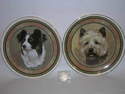 FC013 8" plate - Popular dogs (30 breeds)