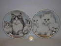 FC013 8" plate - Cat families