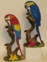 SA641 Macaw 8"