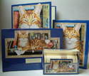 WTM500 Marmalade cat stationary sets