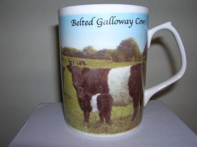 FC004 Topaz beaker - Belted Galloway Cows