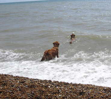 Finn &amp; Jack at Pevensey