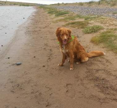 2013 july - solo at the beach