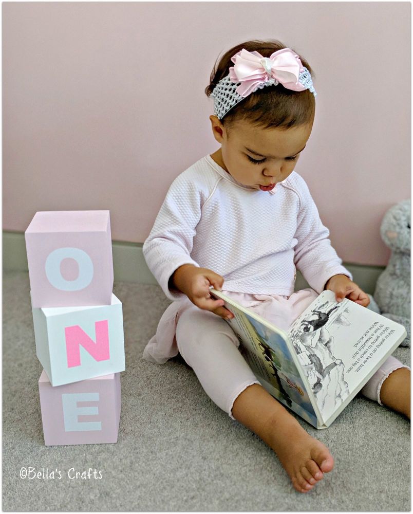 ONE Blocks 1st Birthday Photo prop
