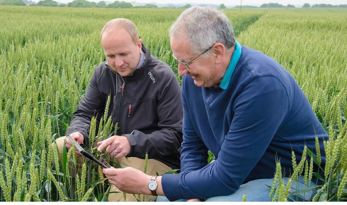 Agronomist Opportunities