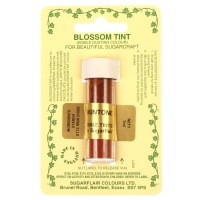 Blossom Tint - Skintone