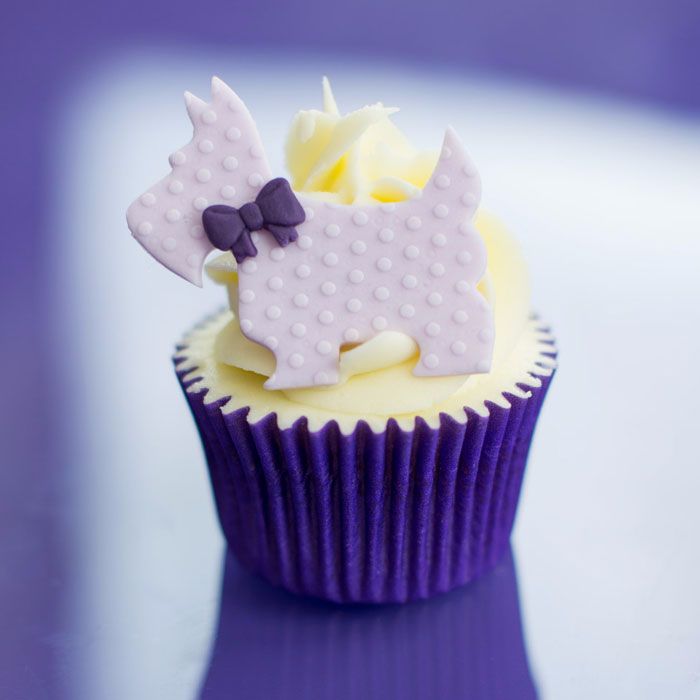 Cupcake Cases - Purple