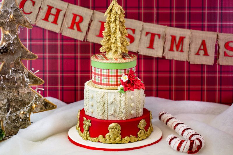 Karen Davies Cake Decorating Mould - CHRISTMAS TREE