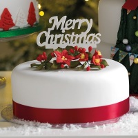 Gumpaste Cake Topper Pic - Merry Christmas