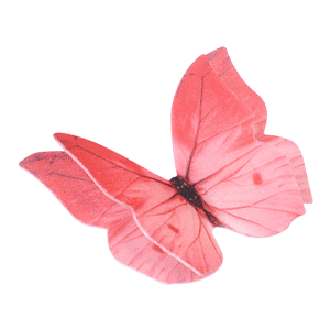 Wafer Butterflies (Pack of 12)