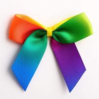 Satin Cakesicle  Bows - 5cm Self Adhesive Pack of 12 - BRIGHT RAINBOW