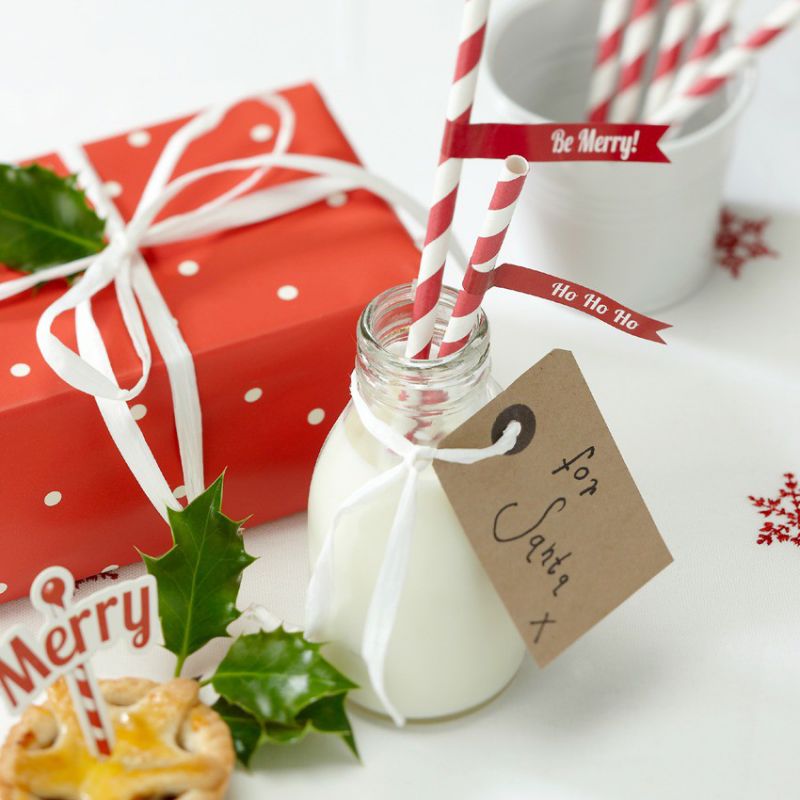 Ginger Ray - Paper Straws - Red & White Striped with 'Be Merry!