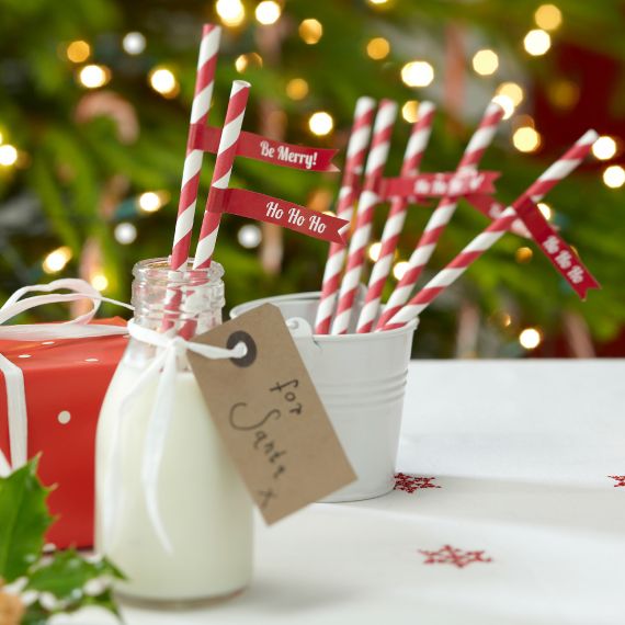 Ginger Ray - Paper Straws - Red & White Striped with 'Be Merry!" & 'Ho Ho Ho' flags (pack of 25)