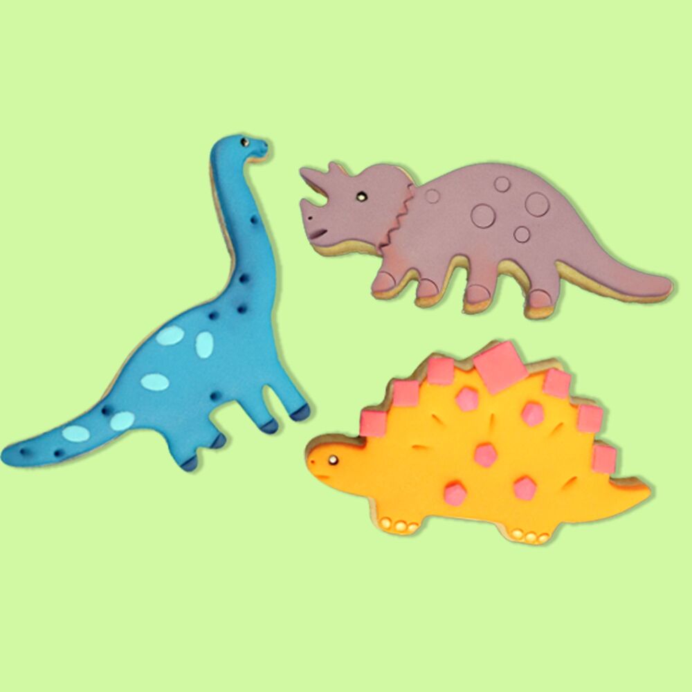 PME Cookie Cutter Set of 3 - DINOSAUR