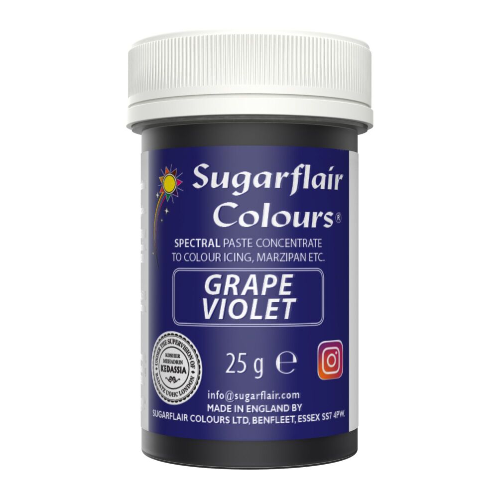 Paste Colours 25g - Grape Violet
