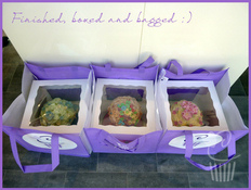 Giant Cupcake-Boxed and bagged