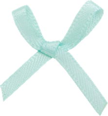 100 mint bows