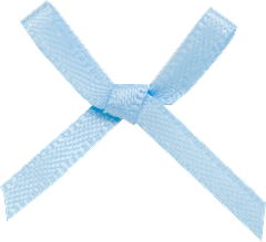 100 baby blue bows