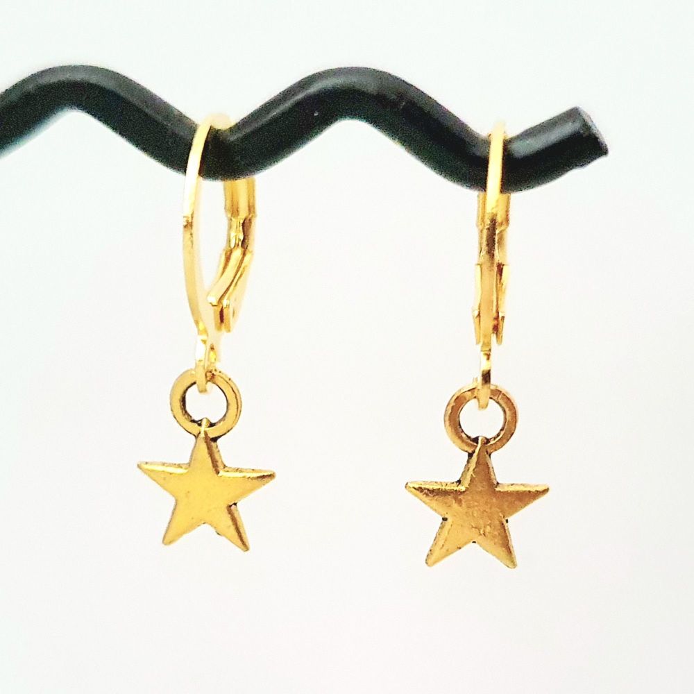 Small huggie hoop earrings with gold star charm CE030