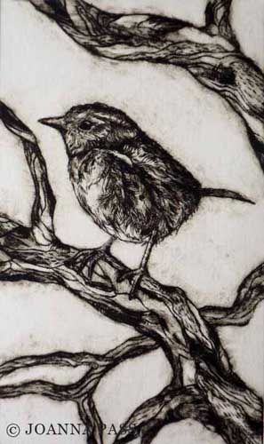 Dunnock drypoint etching