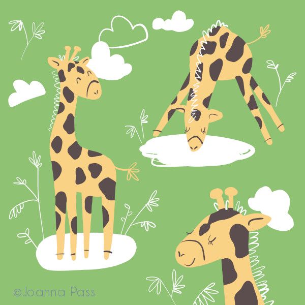 three giraffes