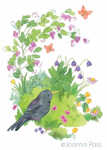 buttercup blackbird card