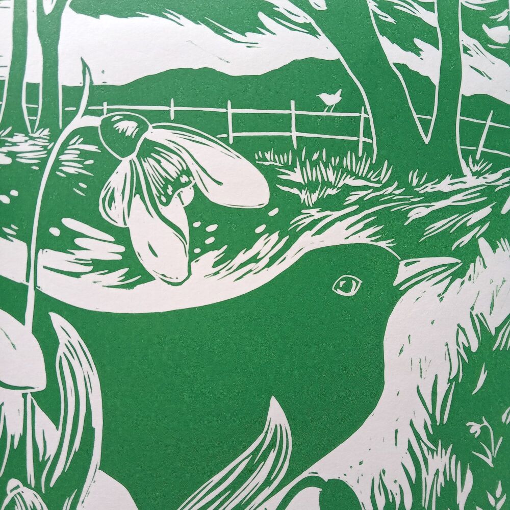 Snowdrop Blackbird