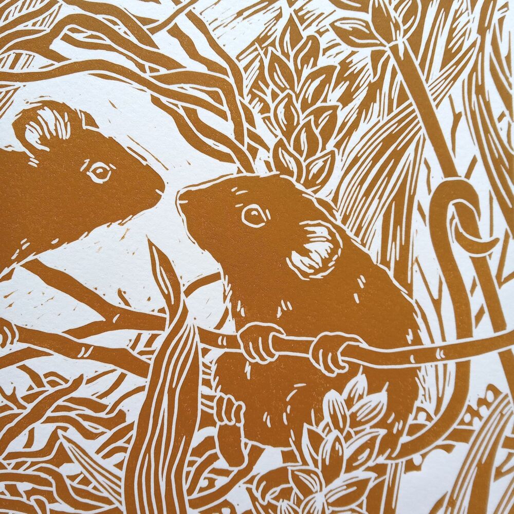 Field Mice