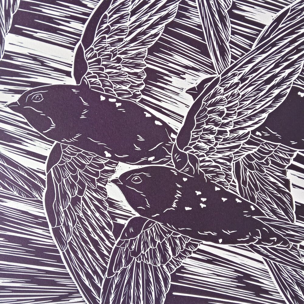 Evening Swifts