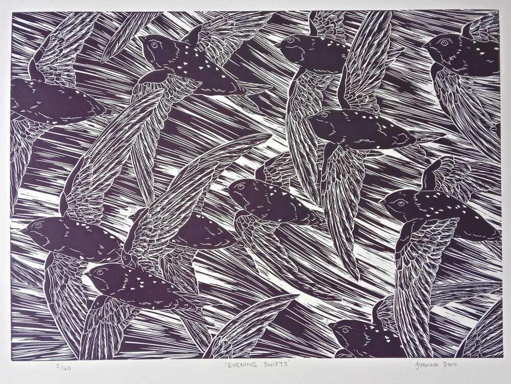 Evening Swifts