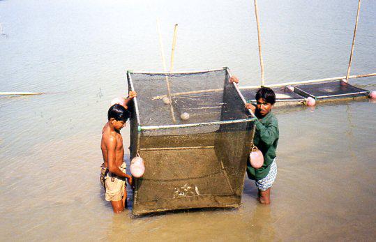 prototype finger fish farming cage