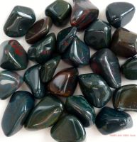 Bloodstone (Heliotrope) Crystal Tumbled Stones 20-25mm