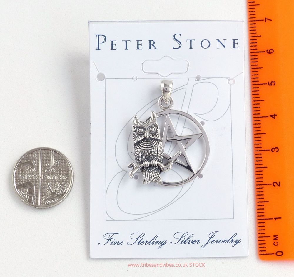 Perched Owl on a Pentacle Pentagram Pendant 925 Sterling Silver by Peter Stone