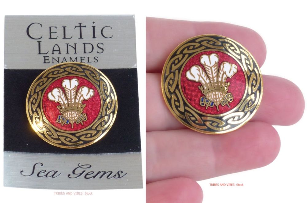 Prince of Wales Feathers Welsh Rugby Brooch Badge by Sea Gems