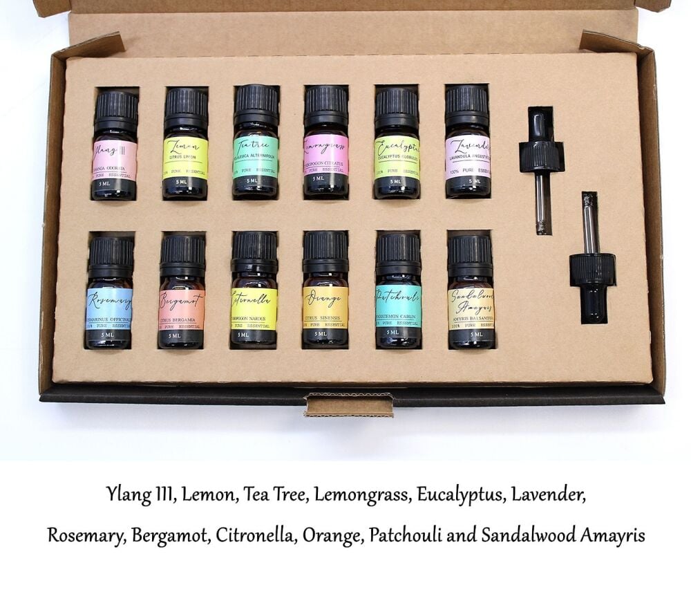 Aromatherapy Essential Oils Set - The Top 12