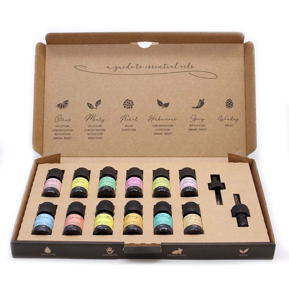 Aromatherapy Essential Oils Set - The Top 12