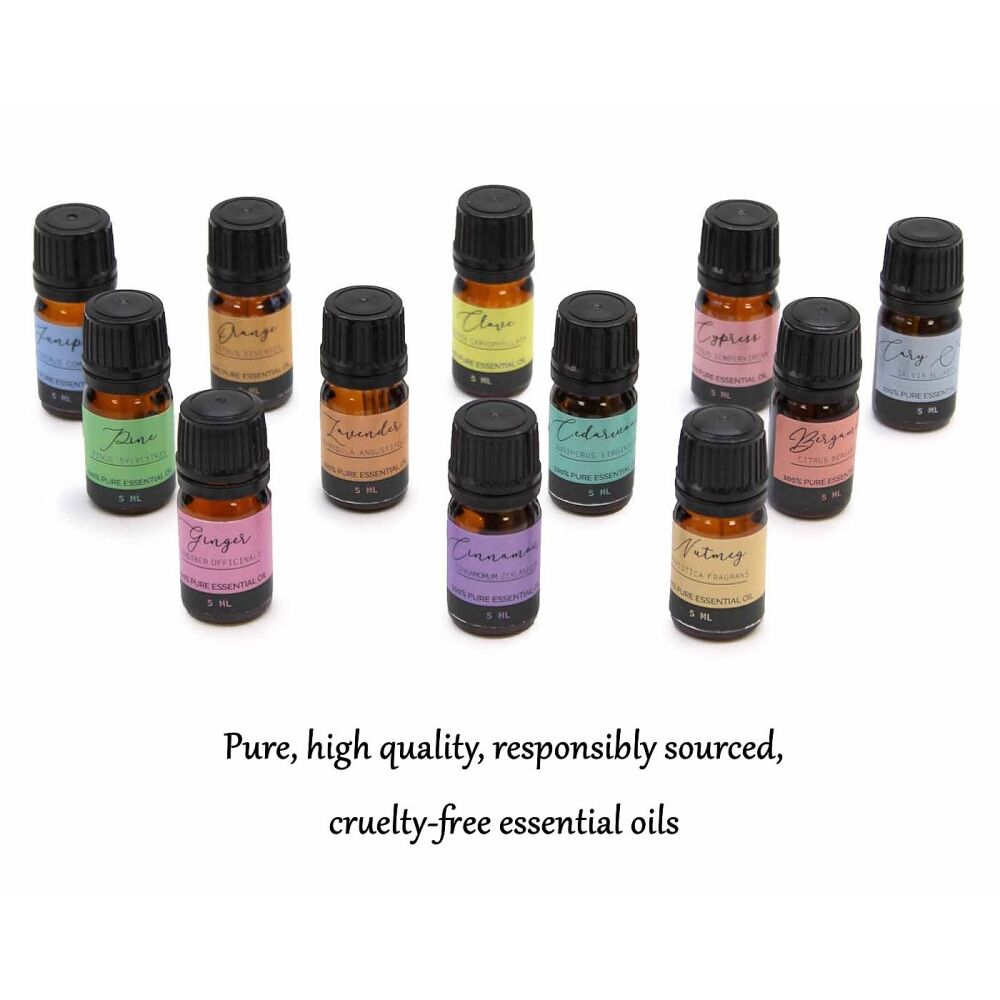 Aromatherapy Essential Oils - The Autumn Set