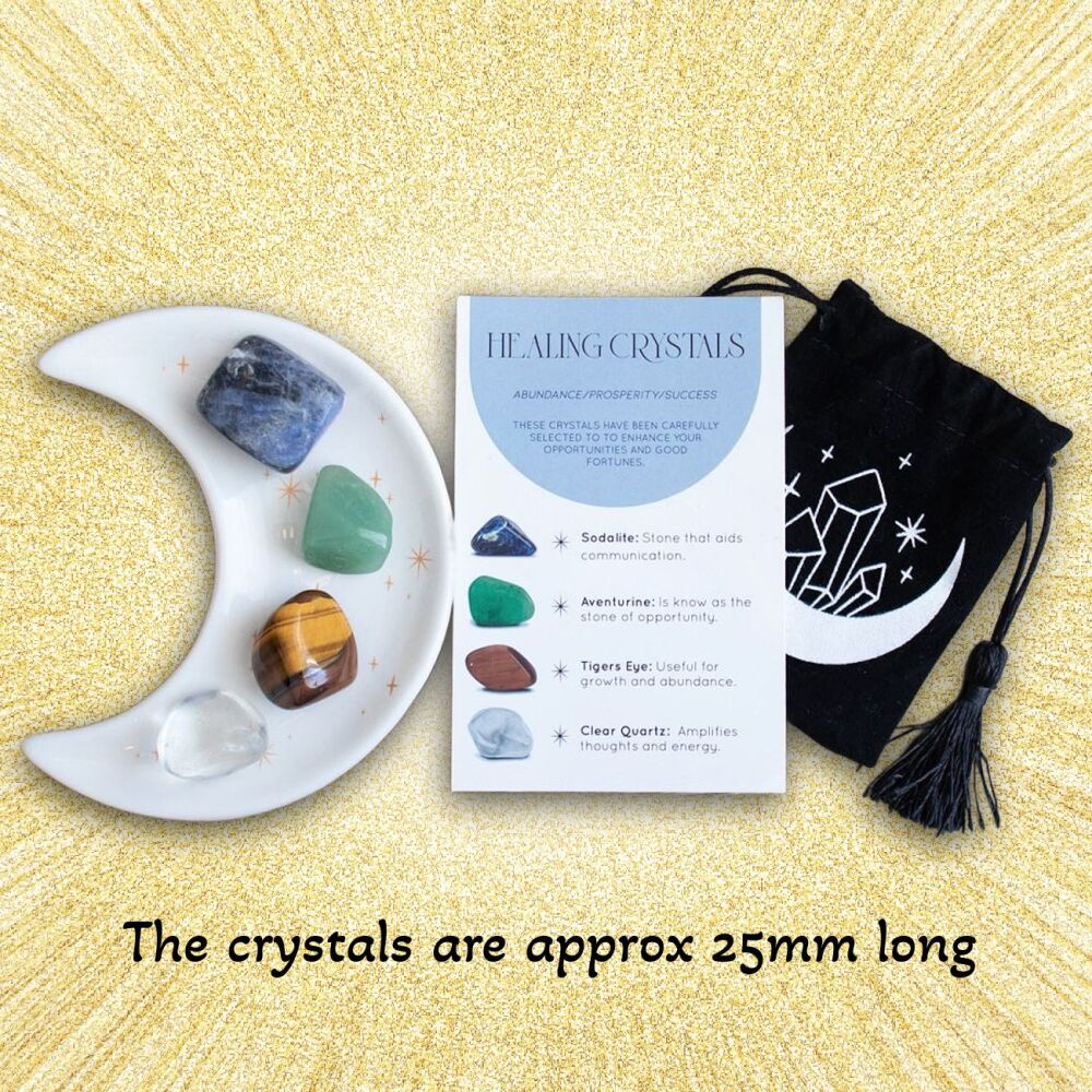 Success Healing Crystal Set with Moon Trinket Dish